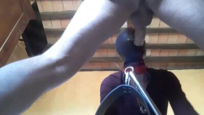 Tied To A Machine Masked And Hooded She Has To Suck A Big Dick on youpornvideos.one