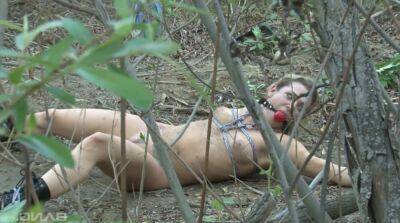 Tied up chick Bailey Blue gets her pussy fucked and jizzed in the forest on youpornvideos.one