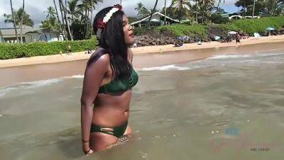 Yara Skye: Black Beauty's Intimate Encounter with a Sea Turtle on Beach on youpornvideos.one